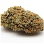 Шишки AK47  (Гидропоника, Бошка) VHQ в Краснознаменске